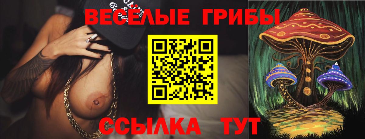 Псилоцибиновые грибы Psilocybe  Вход с VPN  Нижний Новгород 