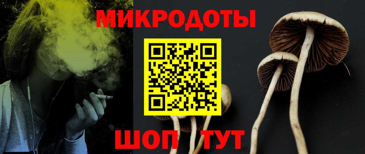 Галлюциногенные грибы Magic Shrooms Нижний Новгород